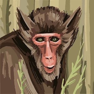 Meet your Posher, Annalhy